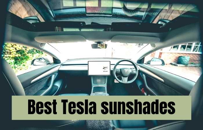Best Tesla sunshades