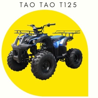 Tao Tao T125